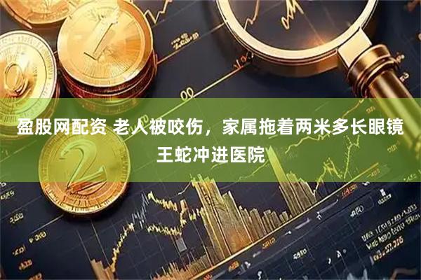 盈股网配资 老人被咬伤，家属拖着两米多长眼镜王蛇冲进医院
