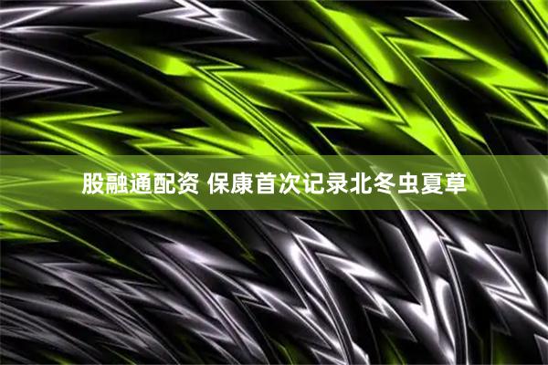 股融通配资 保康首次记录北冬虫夏草