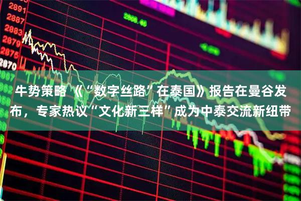 牛势策略 《“数字丝路”在泰国》报告在曼谷发布，专家热议“文化新三样”成为中泰交流新纽带